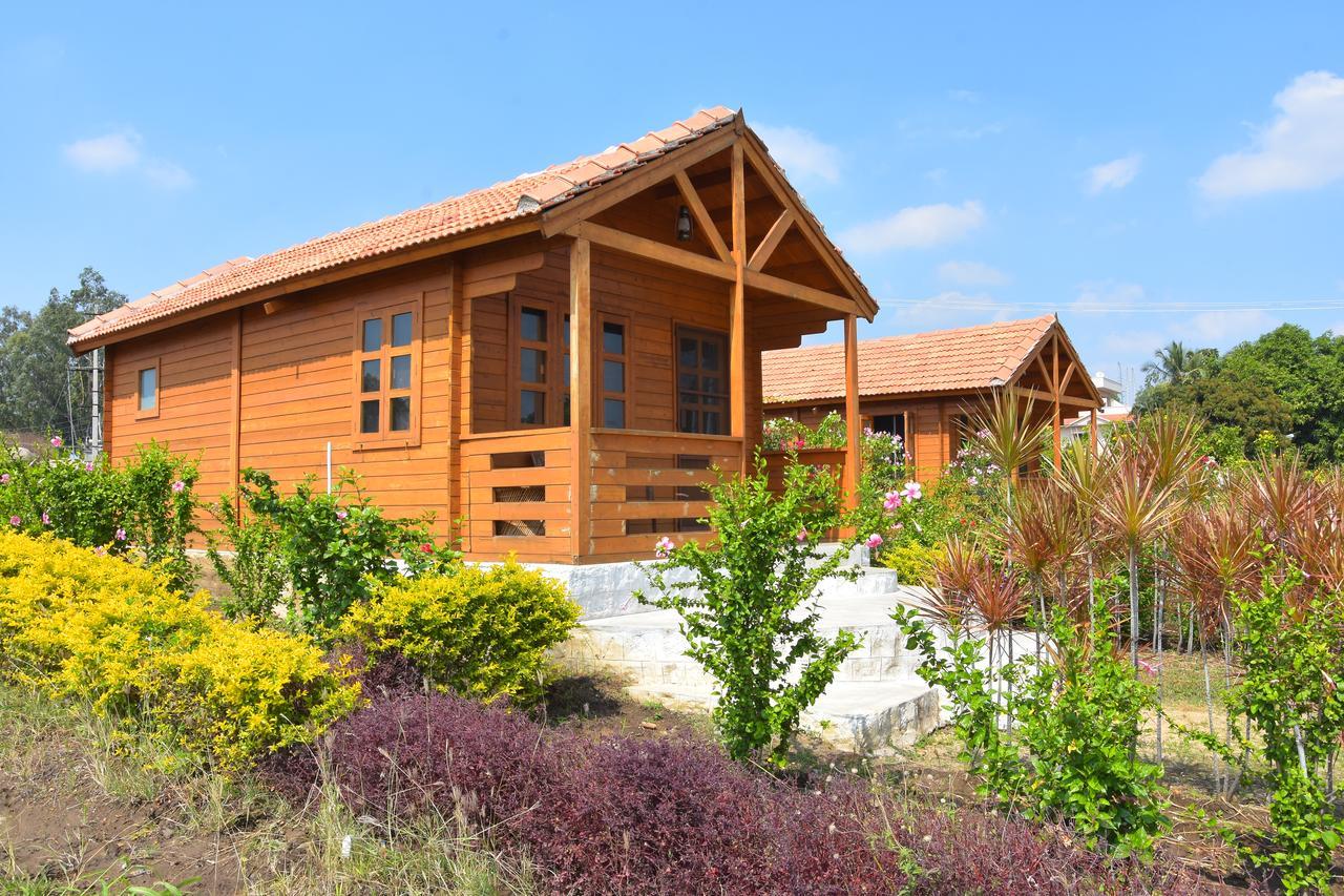 Leo Wodden Resort Хампи Экстерьер фото